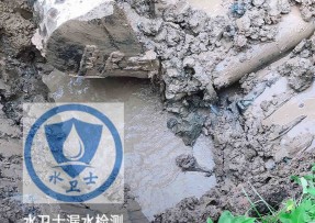 陆丰水管漏水检测公司5